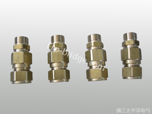 黃銅(tóng)铠裝電纜(lan)密封接頭(tóu)